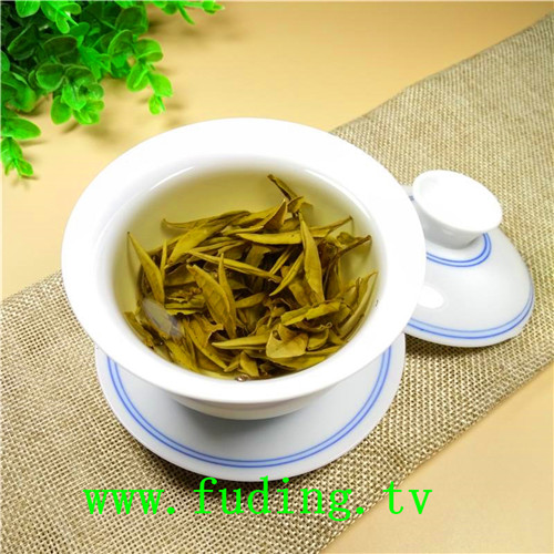 白牡丹茶饼可以存放多久– 福鼎白茶